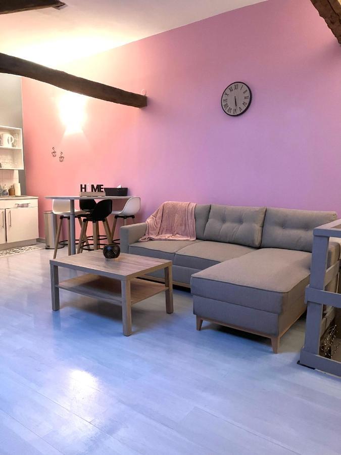 Chablis: Grand Studio En Plein Centre Ville Zewnętrze zdjęcie